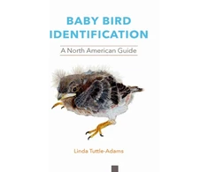 KNYGA Linda Tuttle Adams Baby Bird Identification