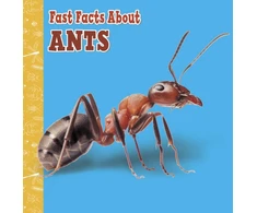 KNYGA Lisa J Amstutz Fast Facts About Ants