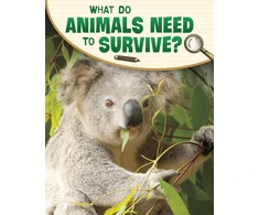 KNYGA Lisa M. Bolt Simons What Do Animals Need to Survive?