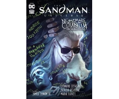 KNYGA Lisandro Estherren Sandman Universe: Nightmare Country - The Glass House