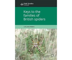KNYGA Lj Walters Keys to the Families of British Spiders