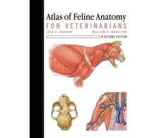 KNYGA Lola Hudson Atlas of Feline Anatomy For Veterinarians