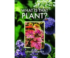 KNYGA Louise Burfitt What is that Plant?