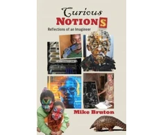 KNYGA M Bruton Curious Notions