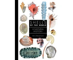 KNYGA M G Harasewych Shells of the World
