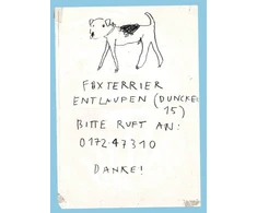 KNYGA Maarten Inghels Please Look in the Basement