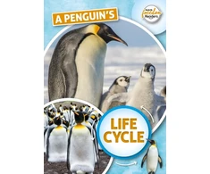 KNYGA Madeline Tyler; Danielle Rippengill Penguin's Life Cycle