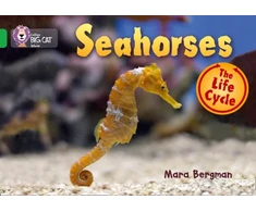 KNYGA Mara Bergman Seahorses
