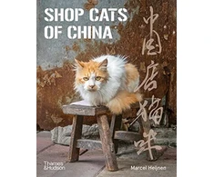 KNYGA Marcel Heijnen Shop Cats of China