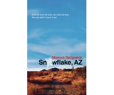 KNYGA Marcus Sedgwick Snowflake, Az