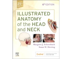 KNYGA Margaret J Fehrenbach Illustrated Anatomy of the Head and Neck
