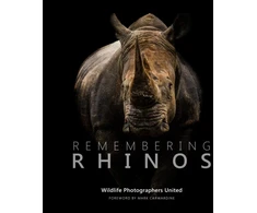 KNYGA Margot Raggett Remembering Rhinos