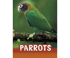 KNYGA Mari C Schuh Parrots