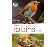 KNYGA Marianne Taylor RSPB Spotlight: Robins