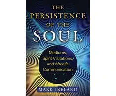KNYGA Mark Ireland Persistence of the Soul