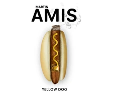 KNYGA Martin Amis Geltona Dog