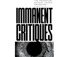 KNYGA Martin Jay Immanent Critiques
