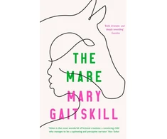 KNYGA Mary Gaitskill Didelis