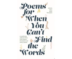 KNYGA Mary Shine Thompson Poems for When You Can't Find the Words