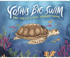 KNYGA Mary Wagley Copp Yoshi's Big Swim