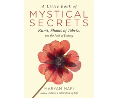 KNYGA Maryam Mafi Little Book of Mystical Secrets