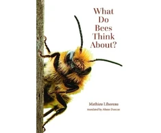 KNYGA Mathieu Lihoreau What Do Bees Think About?