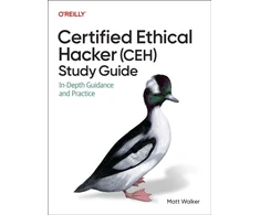 KNYGA Matt Walker Certified Ethical Hacker (Ceh) Study Guide, In-Gylis Guidance and Practice