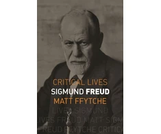 KNYGA Matthew Ffytche Sigmund Freud