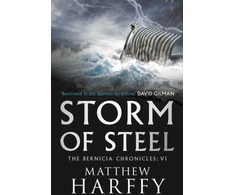 KNYGA Matthew Harffy Storm of Steel