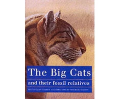 KNYGA Mauricio Anton Big Cats and Their Fossil Relatives