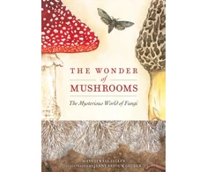 KNYGA Maya Jewell Zeller Wonder of Mushrooms