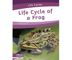 KNYGA Meg Gaertner Life Cycle of a Frog