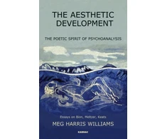 KNYGA Meg Harris Williams Aesthetic Development