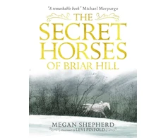KNYGA Megan Shepherd Secret Horses of Briar Hill