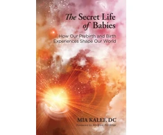 KNYGA Mia Kalef Secret Life of Babies