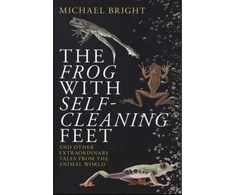 KNYGA Michael Bright Frog with Self-Cleaning Feet
