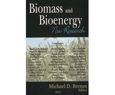 KNYGA Michael D Brenes Biomass &amp; Bioenergy
