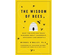 KNYGA Michael Omalley Wisdom of Bees