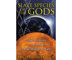 KNYGA Michael Tellinger Slave Species of the Gods
