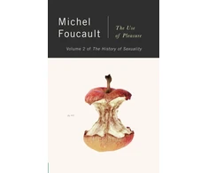 KNYGA Michel Foucault Use of Pleasure