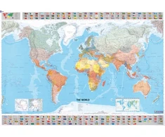 KNYGA Michelin Travel Publications World - Michelin rolled &amp; tubed wall map Encapsulated