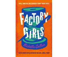KNYGA Michelle Gallen Factory Girls