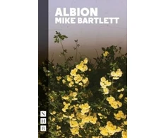 KNYGA Mike Bartlett Albionas