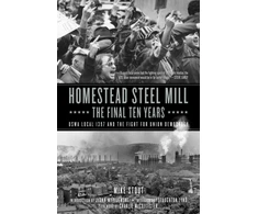 KNYGA Mike Stout Homestead Steel Mill - The Final Ten Years