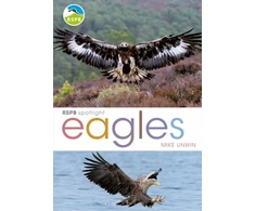 KNYGA Mike Unwin RSPB Spotlight: Eagles
