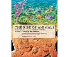 KNYGA Mikhail A Fedonkin Rise of Animals