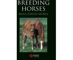 KNYGA Mina Davies Morel Breeding Horses
