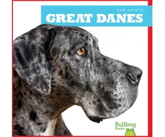 KNYGA Nadia Higgins Great Danes