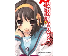 KNYGA Nagaru Tanigawa Wavering of Haruhi Suzumiya (light novel)