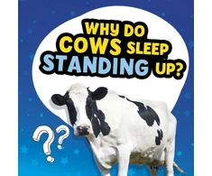KNYGA Nancy Dickmann Why Do Cows Sleep Standing Up?